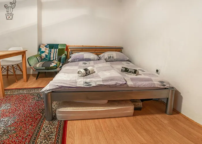 Kakteja Apartment